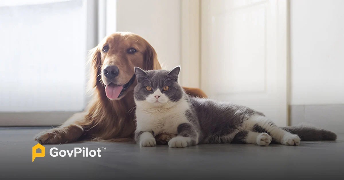 15 Modern Animal Control Strategies for Local Governments 2023 Pet